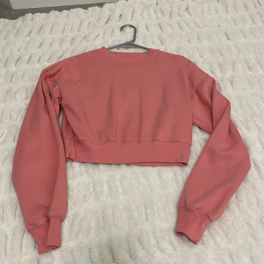 Wild Fable Pinkish Cropped Sweatshirt